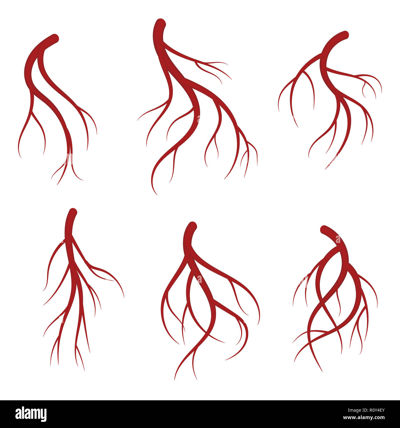 Les veines, vaisseaux sanguins rouges ensemble. Illustration médicale réaliste isolé sur fond blanc Banque D'Images