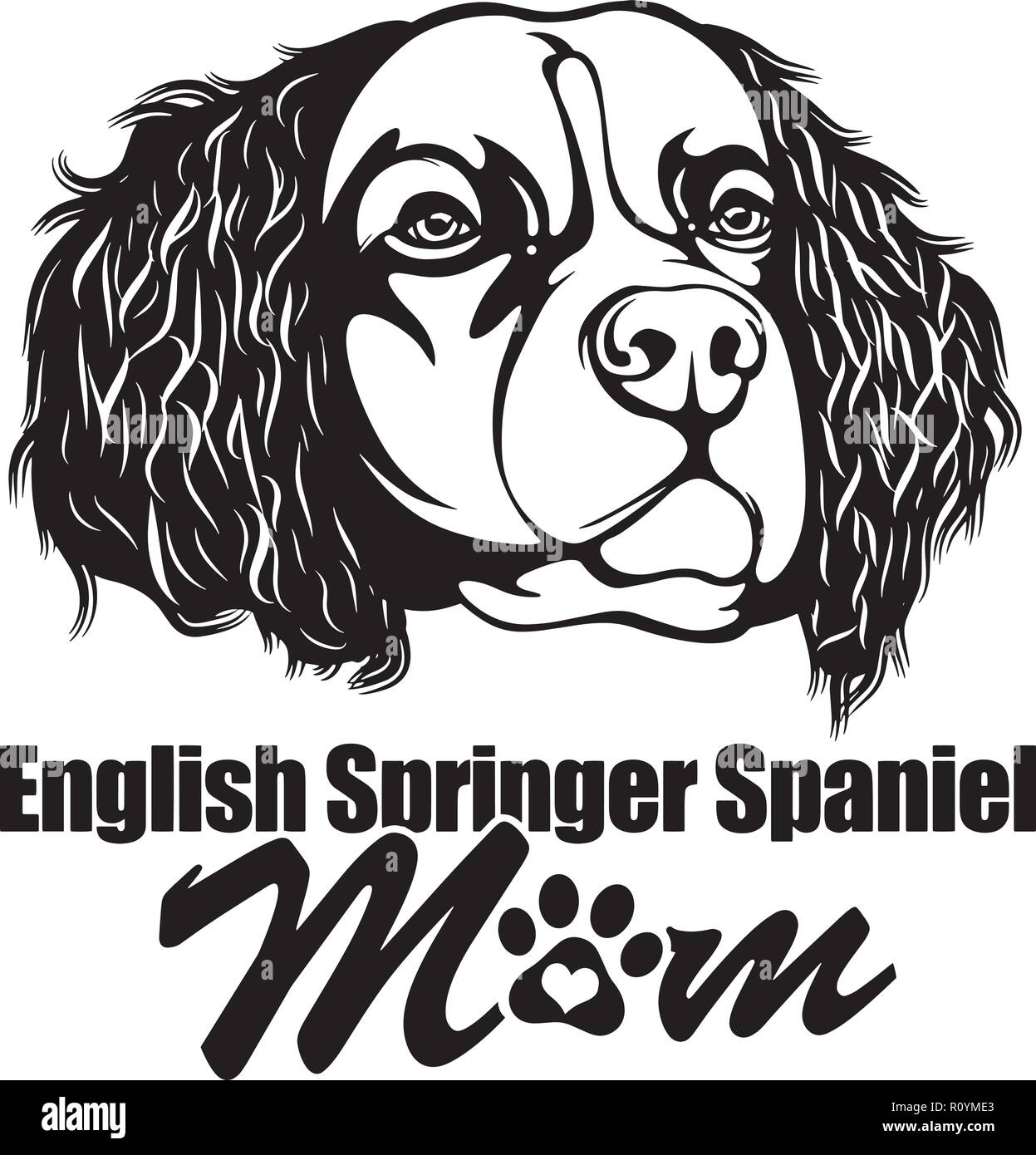 English Springer Spaniel Chien Tête Race Pedigree Isolé