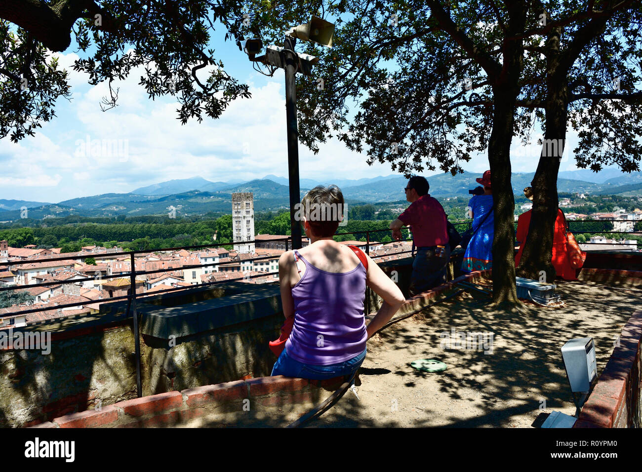 Tourist à admirer la vue sur le haut de la tour Guinigi de Lucques, Province de Lucca, Toscane, Italie, Europe Banque D'Images