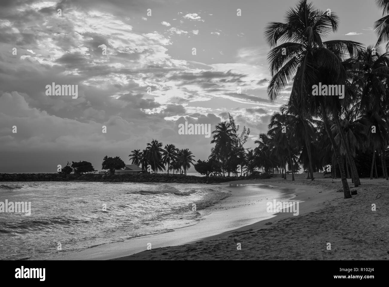Coucher du soleil sur le paradis tropical beach, le Gosier en Guadeloupe, l'île des Caraïbes. La photographie en noir et blanc. Banque D'Images