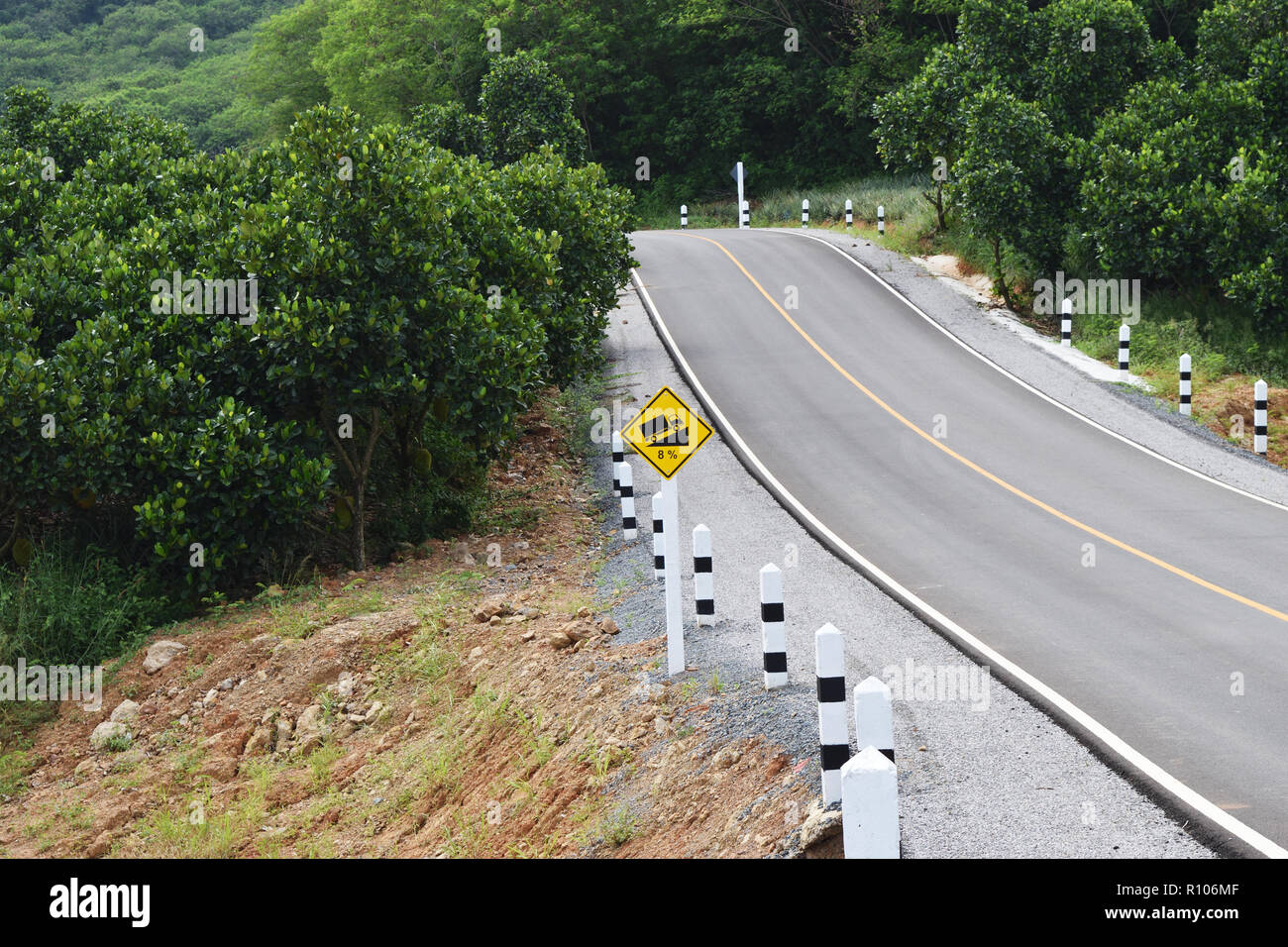 Panneau routier trafic attention jusqu'à hill montée raide (8 %) , route goudronnée dans la forêt remplie d'arbres de montagne en Thaïlande Banque D'Images