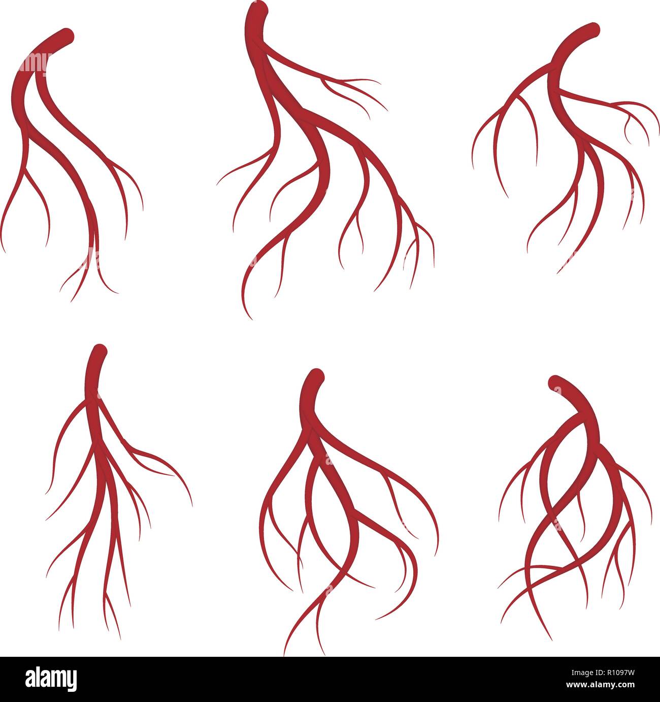 Les veines, vaisseaux sanguins rouges ensemble. Vector illustration médicale réaliste isolé sur fond blanc Illustration de Vecteur