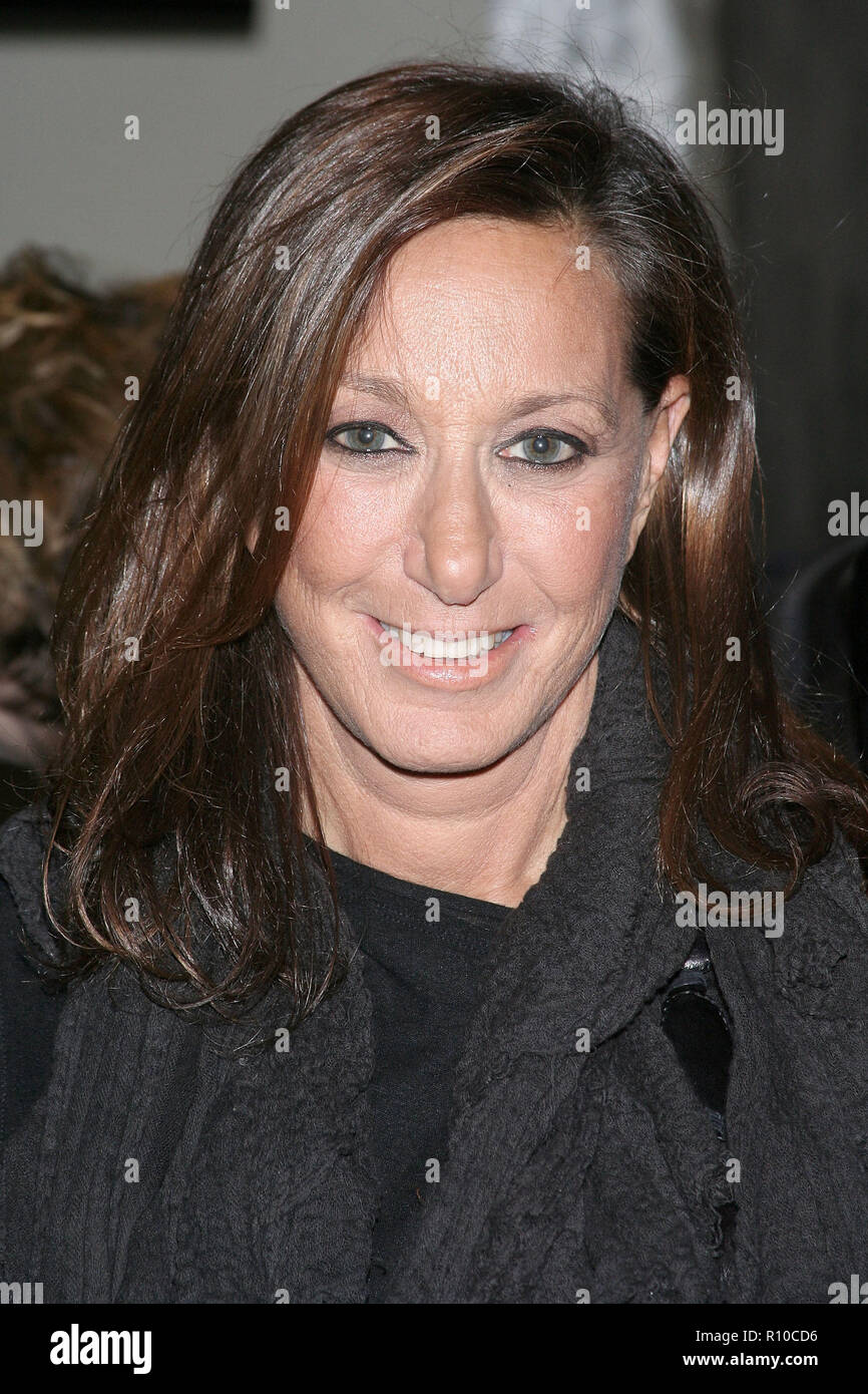 NEW YORK - Le 17 janvier : Designer Donna Karan assiste à un cocktail organisé par Donna Karan & Victoria Webb le 17 janvier 2008 à Zen urbain dans la ville de New York. (Photo par Steve Mack/S.D. Mack Photos) Banque D'Images