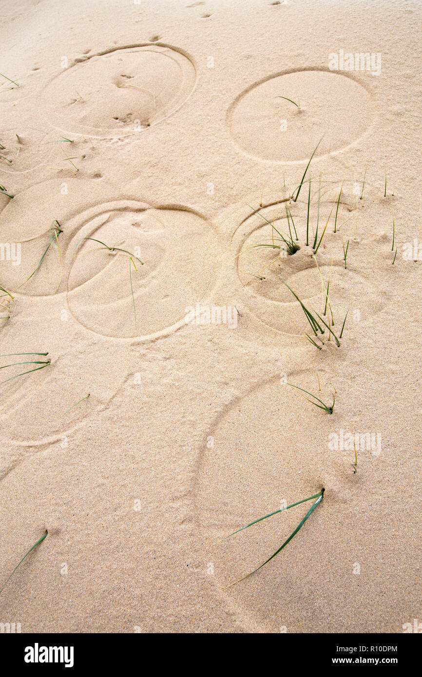 Cercles sur dunes de sable sur la tête Farraid causé par le vent qui souffle l'ammophile. Durness, Sutherland, Scotland, UK. Banque D'Images