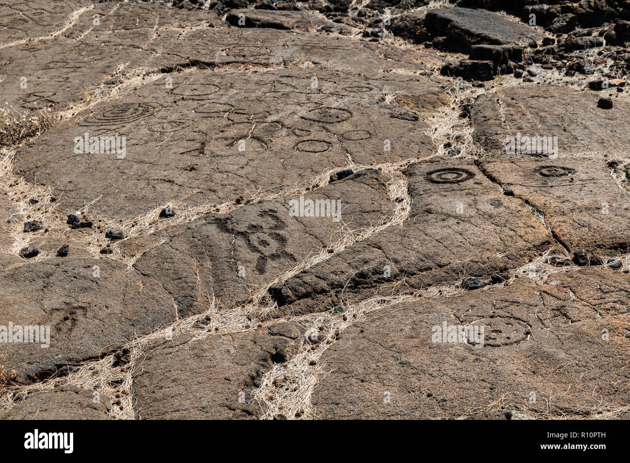 Petroglyphs in Waikoloa, sur le sentier du Roi (amalahoa «'), près de Kona sur la grande île d'Hawaï. Sculpté dans la roche volcanique. Banque D'Images