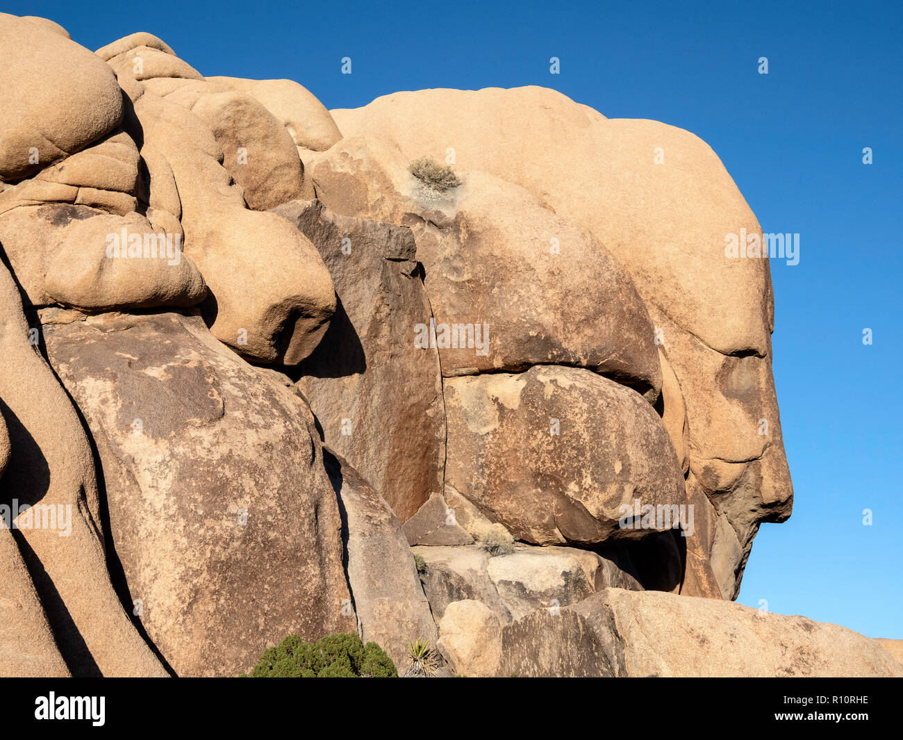 La forme de visages sculptés par le vent dans les rochers à Joshua Tree National Park, California, USA Banque D'Images