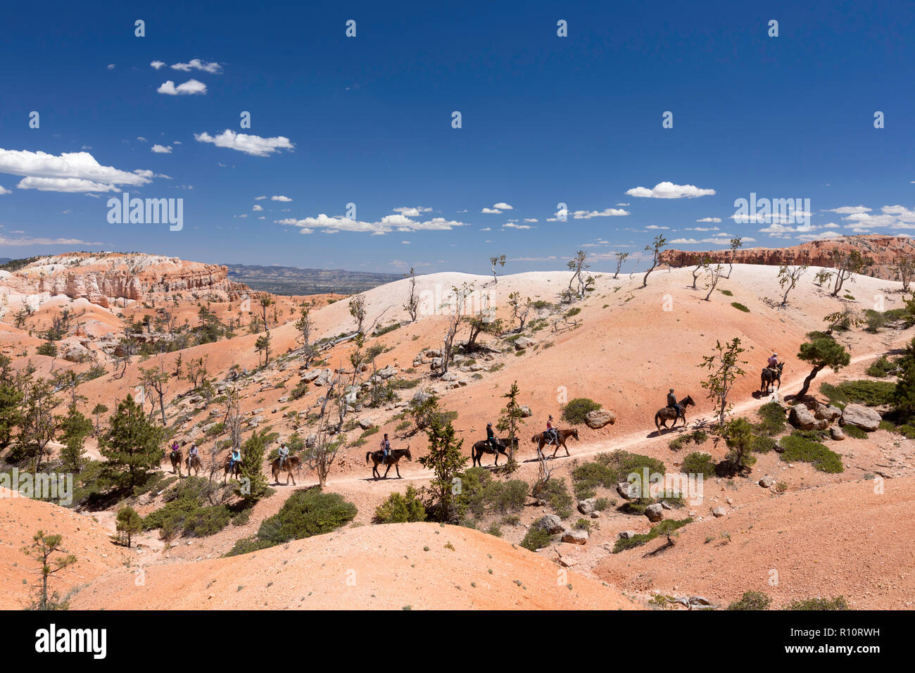 Les cavaliers sur le sentier en boucle de Fairyland à Bryce Canyon National Park, Utah, USA. Banque D'Images