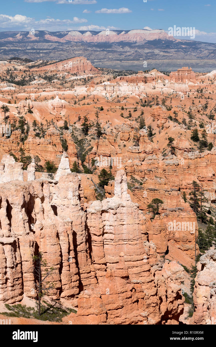 Avis de hoodoo formations de la boucle Navajo Trail à Bryce Canyon National Park, Utah, USA. Banque D'Images