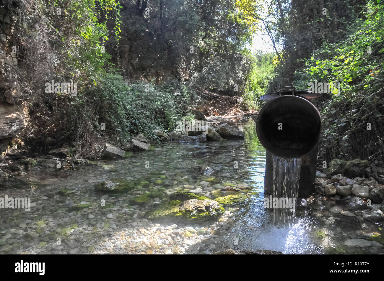 L'eau traitée est retourné à la nature à la réserve naturelle du ruisseau Kziv, Galilée, Israël Banque D'Images