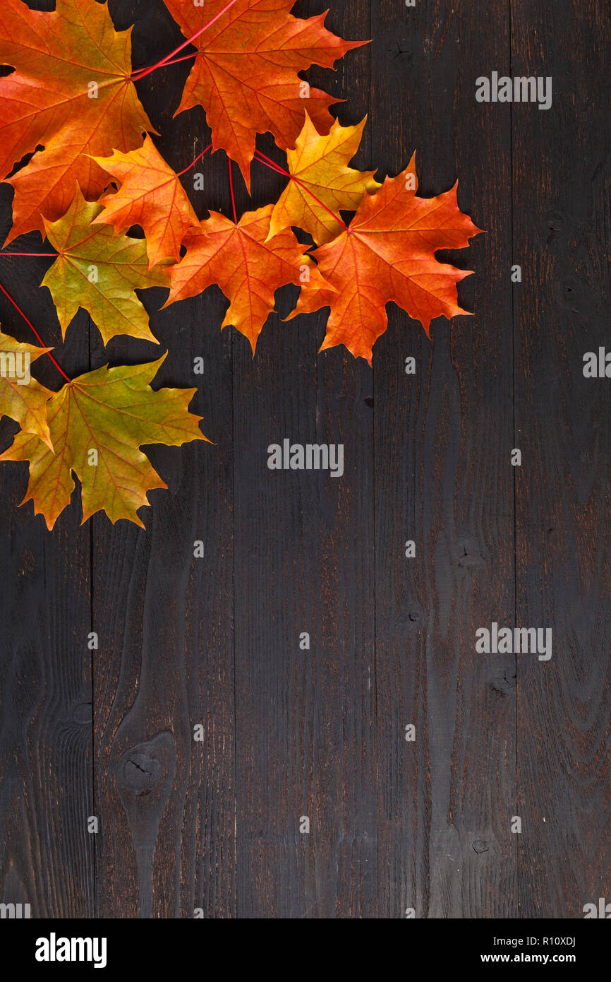 La composition des feuilles d'automne pour cadre photo. Copy space Banque D'Images