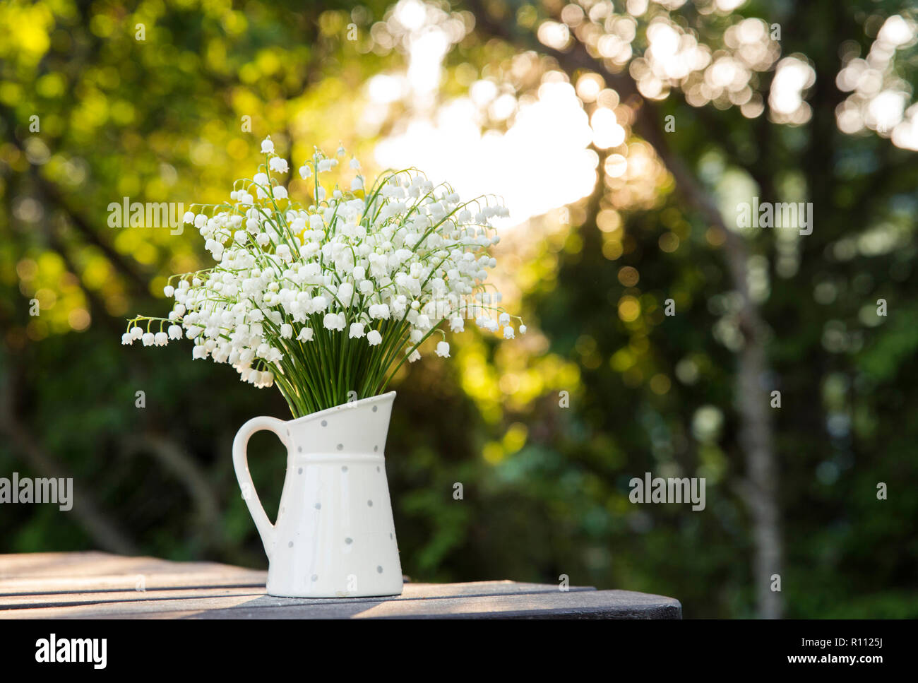Bouquet de fleurs blanches du muguet (Convallaria majalis) Aussi appelé : Cloches, Notre Dame de larmes et larmes de Marie dans une cruche en pointillé blanc shap Banque D'Images
