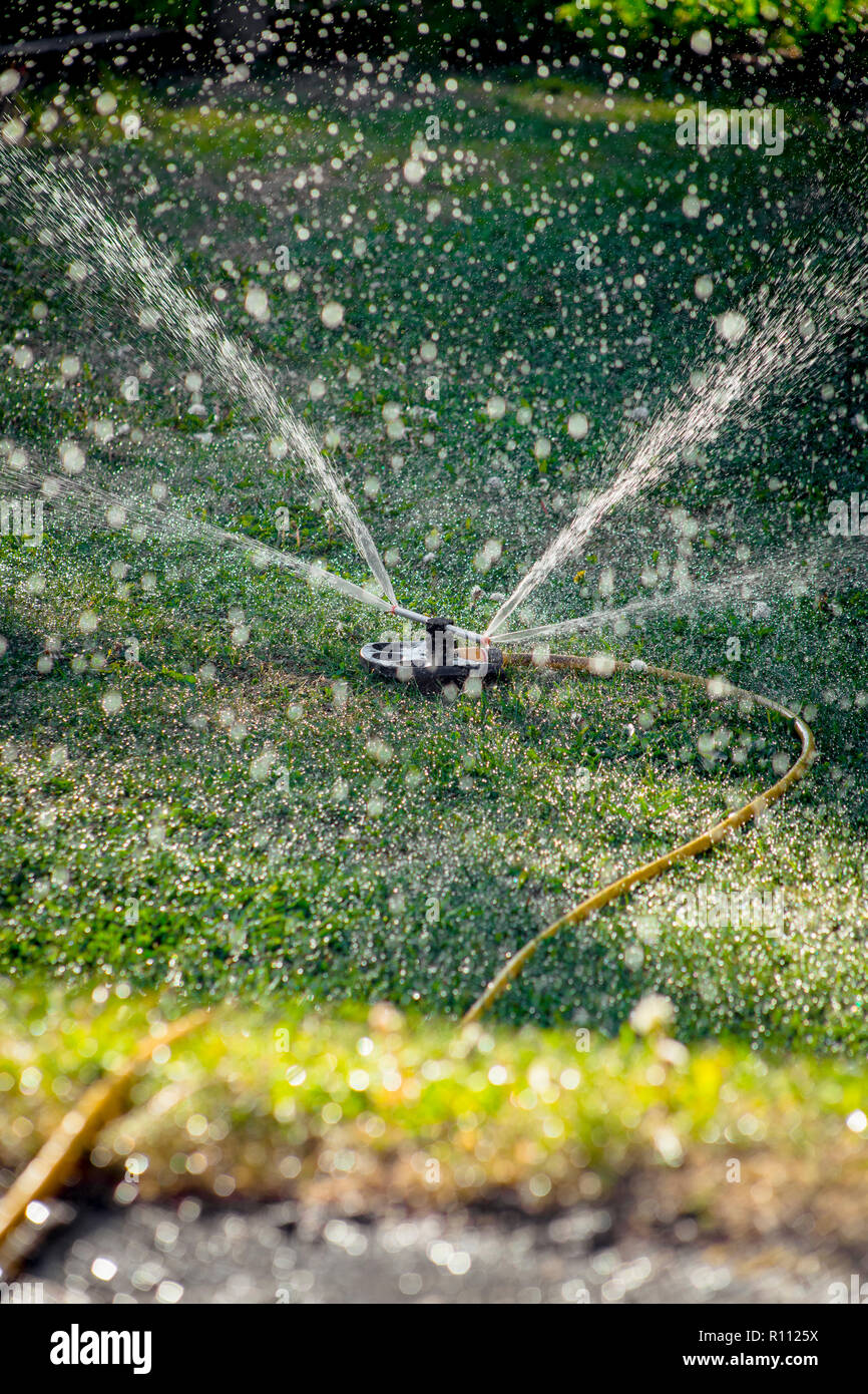 L'irrigation périphérique sprinkleur à l'irrigation des pelouses, l'arrosage de l'herbe en été, pendant la sécheresse. Banque D'Images