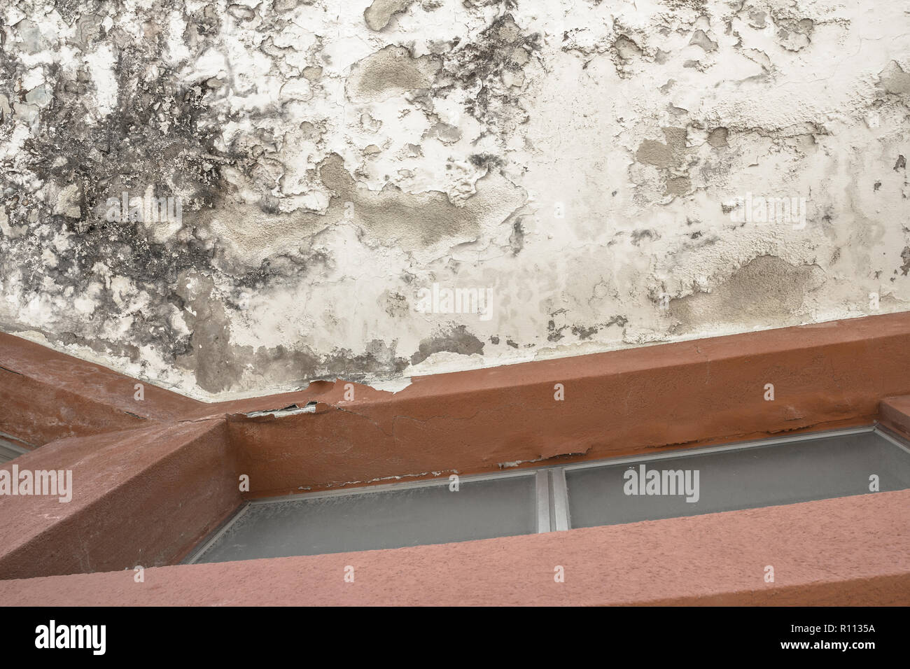 La moisissure et l'accumulation d'humidité sur un plafond. L'écaillage de la peinture, ce qui indique l'humidité. Idéal pour les concepts et les milieux. Banque D'Images