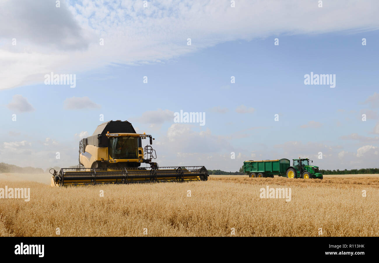 Les machines d'un champ d'avoine récoltes par un beau matin ensoleillé en été, le 10 août 2018 à Beverley, Yorkshire, UK. Banque D'Images