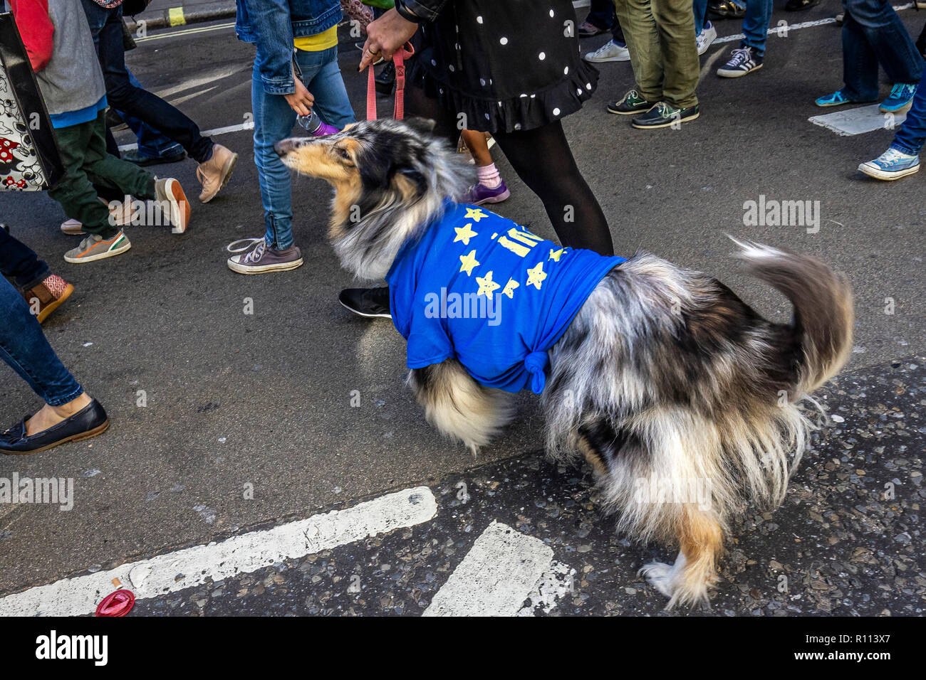 Londres, Royaume-Uni. 20 octobre, 2018. Vote du peuple pour mars nouveau Brexit référendum. Banque D'Images