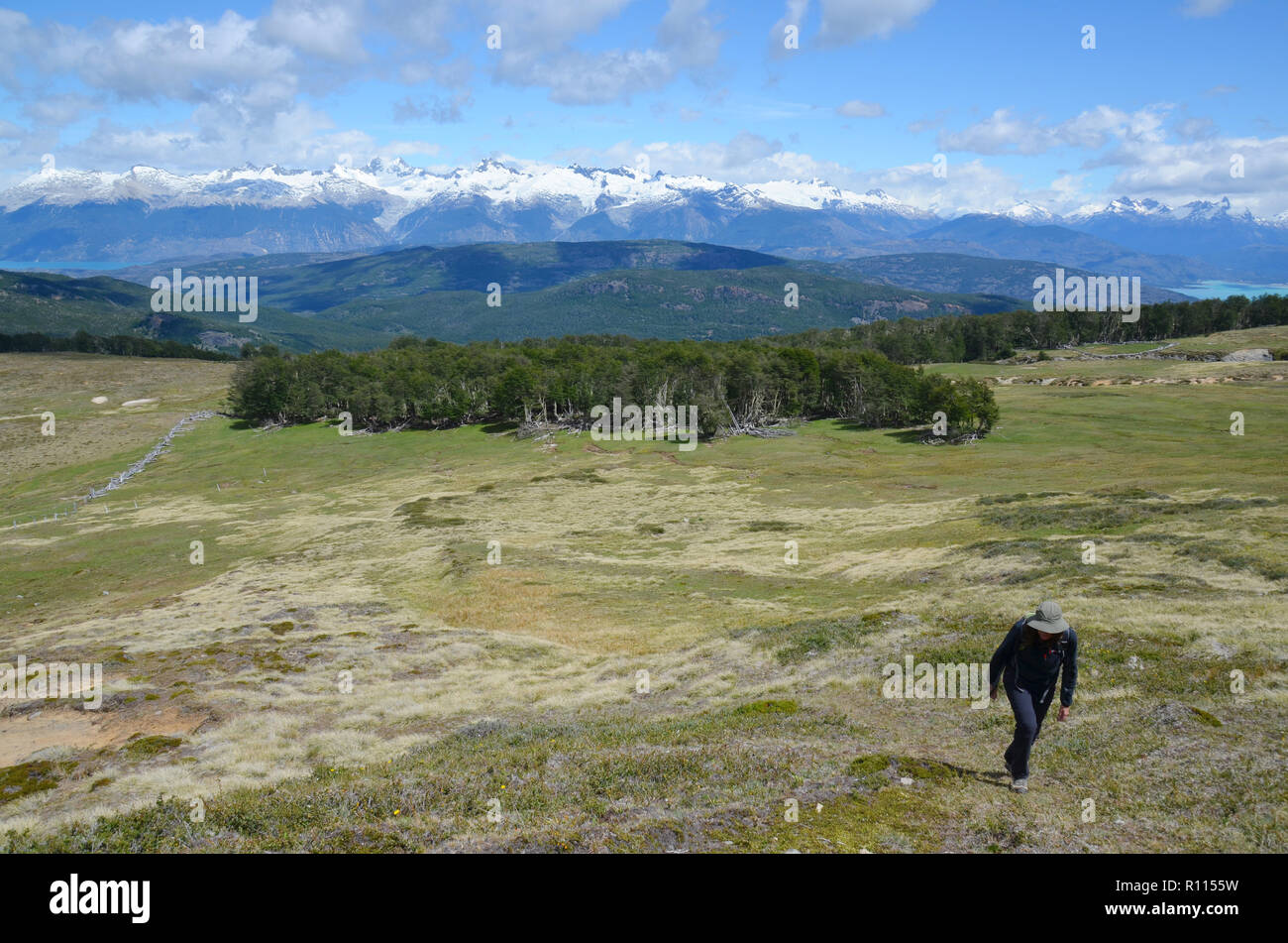 La marche dans les collines, Guadal, Chili Banque D'Images