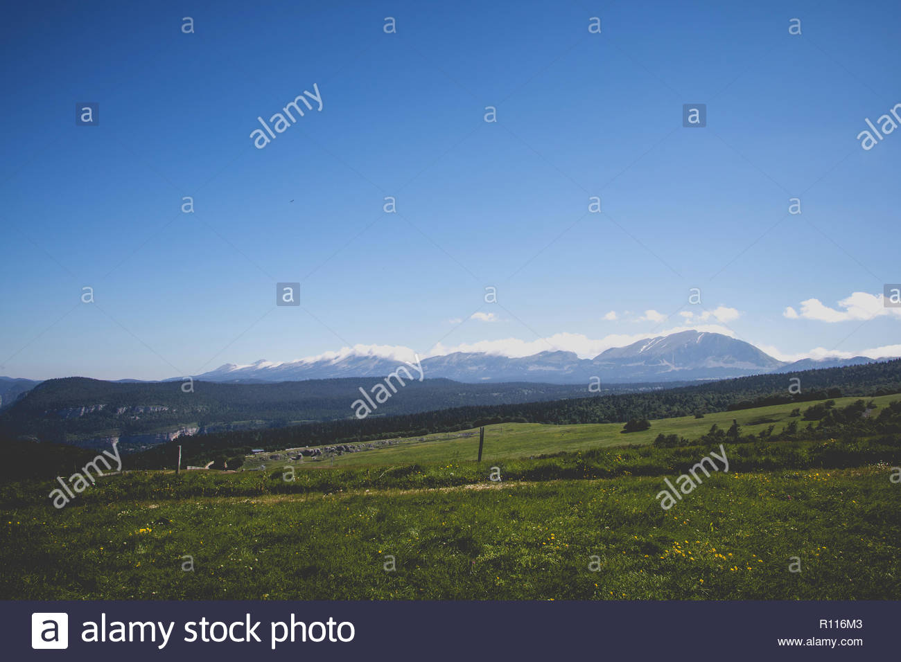 Le Plateau De Beure Vercors Drome France France Maison De