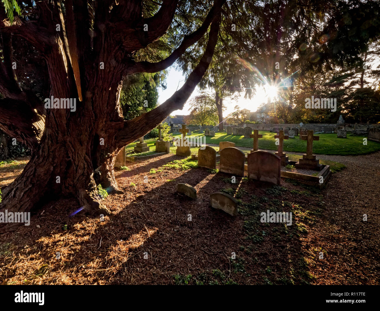 Churchyard, Fyfield, Oxfordshire, UK Banque D'Images