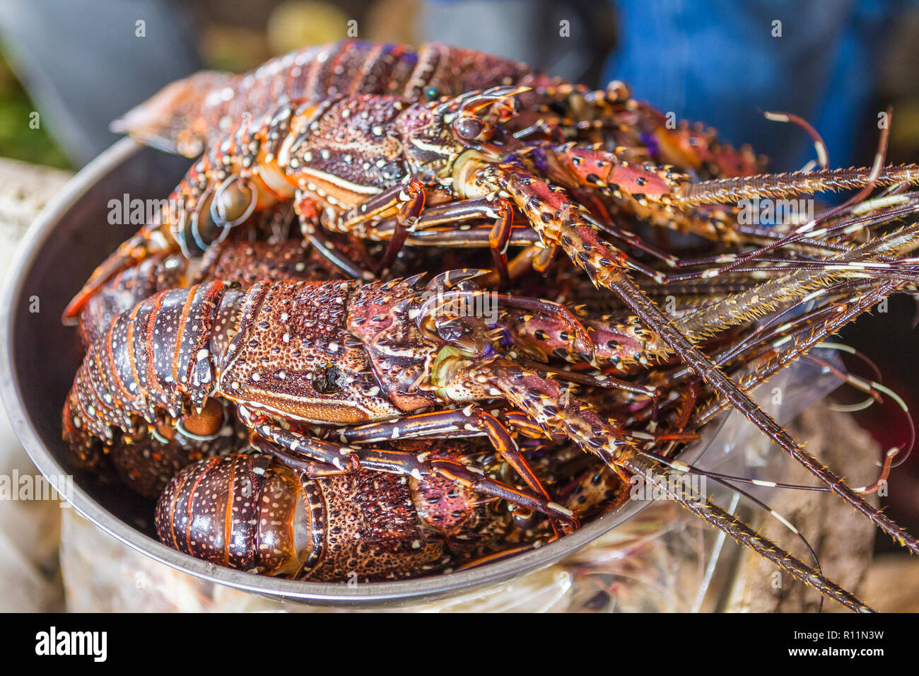 Les homards de marché aux poissons. Stone Town, Zanzibar, Tanzanie ...