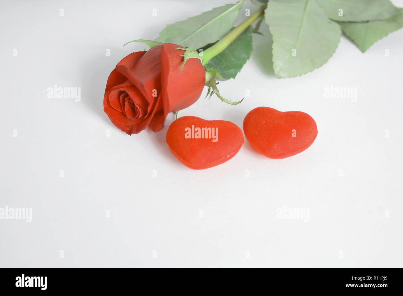 Deux coeurs rose et rouge sur fond blanc.concept d'amour Banque D'Images
