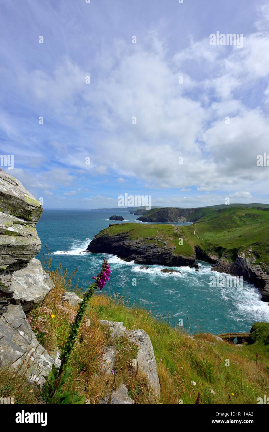 Barras Nez château de Tintagel, Cornwall, Angleterre, Royaume-Uni Banque D'Images