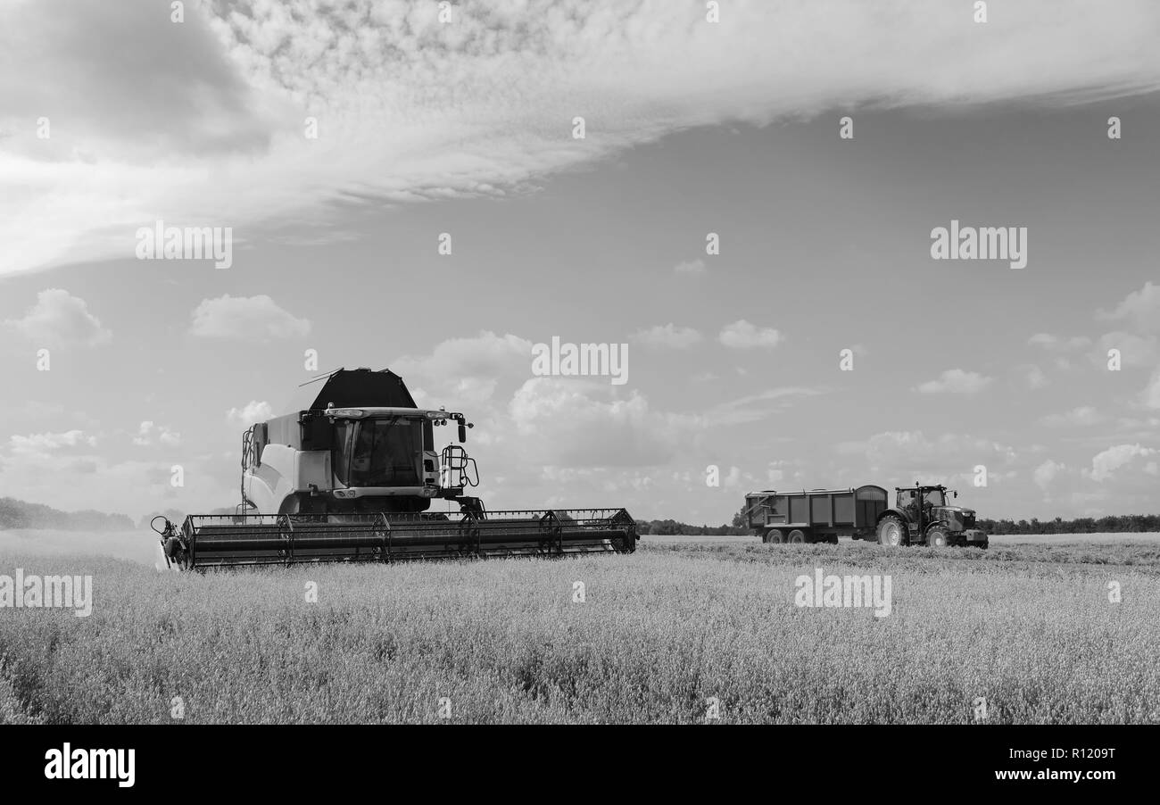 Les machines d'un champ d'avoine récoltes par un beau matin ensoleillé en été, le 10 août 2018 à Beverley, Yorkshire, UK. Banque D'Images