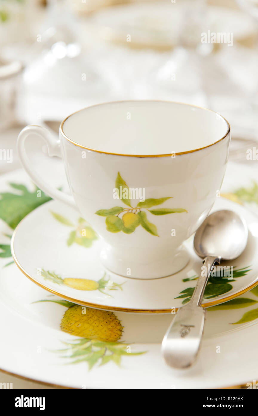 Tasse de thé aux fruits peints Banque D'Images