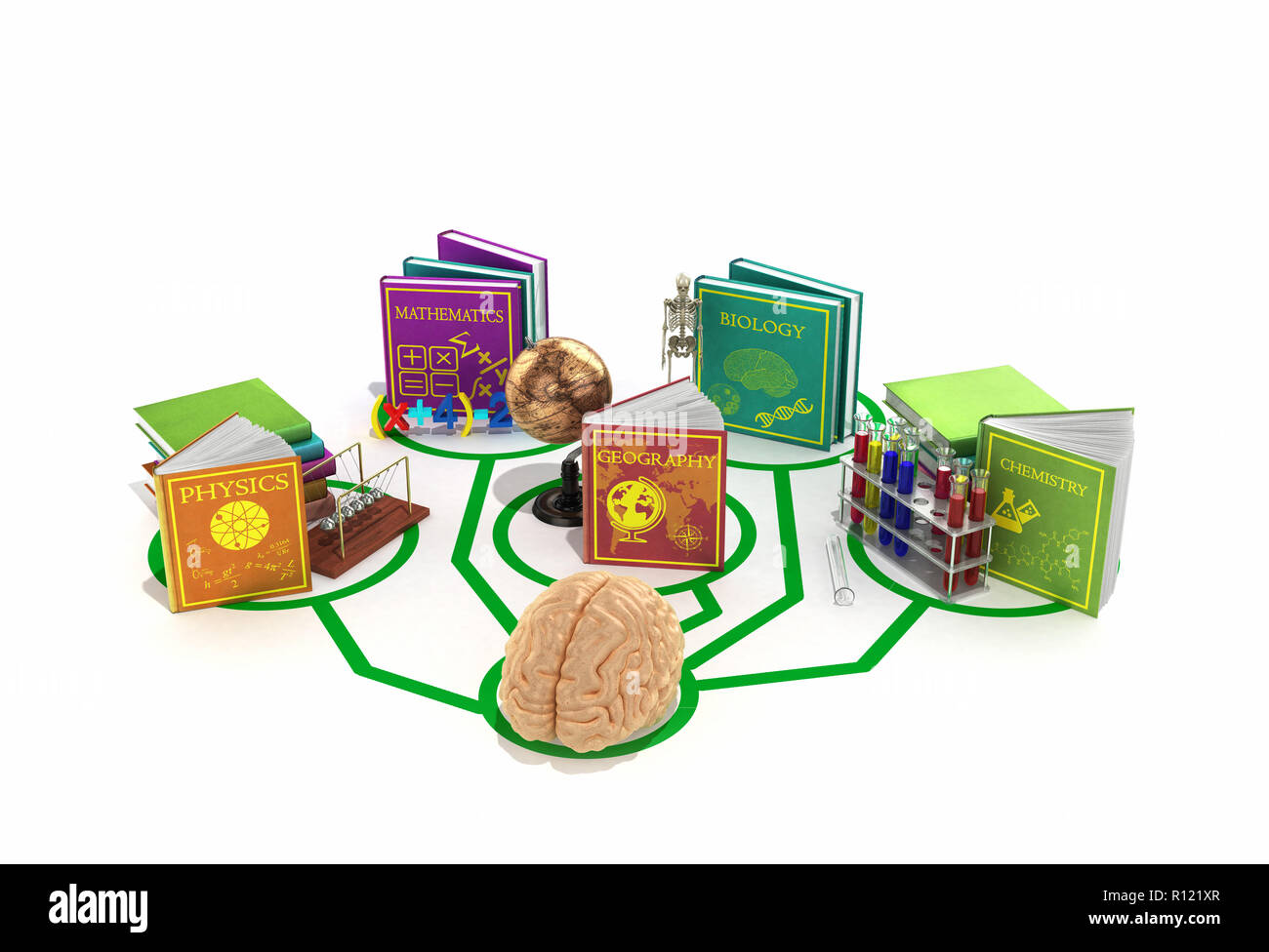 Concept de l'éducation, le cerveau est connecté aux lignes de livres consacrés à diverses sciences 3D render sur un fond blanc Banque D'Images
