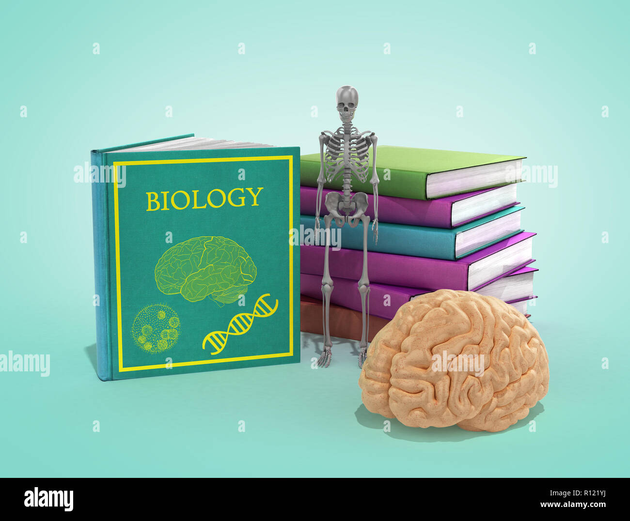 Livres sur la biologie se trouvent dans une pile à côté d'eux et le squelette et le cerveau sur un rendu 3D abstract background Banque D'Images