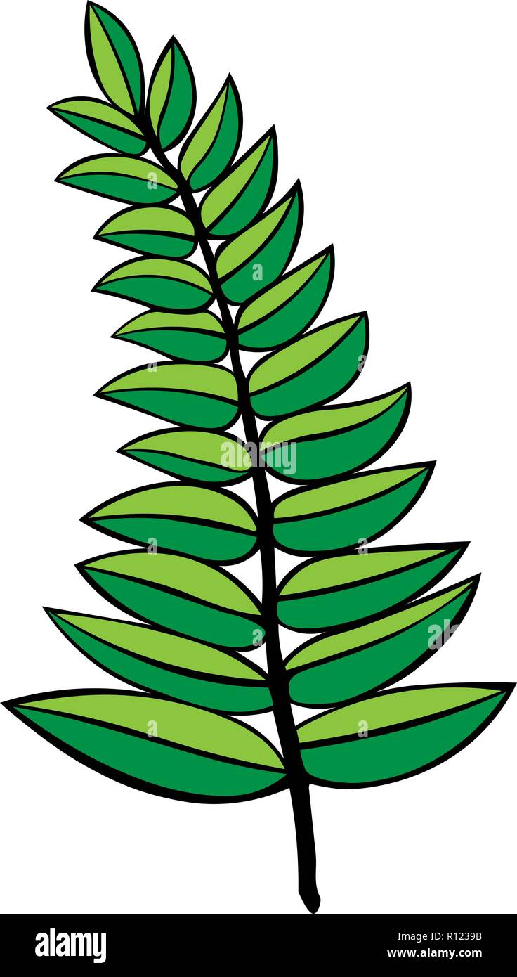 Contour vector illustration d'une branche verte isolée sur fond blanc.Pour l'illustration. tatouage. logo. Illustration de Vecteur