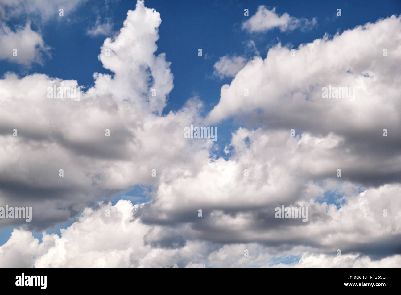 Le Ciel Bleu Avec Des Nuages Blancs Libre Tres Beau Temps Avec Des Stratocumulus Et Cumulus Sur Une Journee D Ete Nuageux Fond Papier Peint Photo Stock Alamy Le Ciel Bleu Avec Des Nuages Blancs Libre Tres Beau Temps Avec Des Stratocumulus Et Cumulus Sur Une Journee D Ete Nuageux Fond Papier Peint Photo Stock Alamy