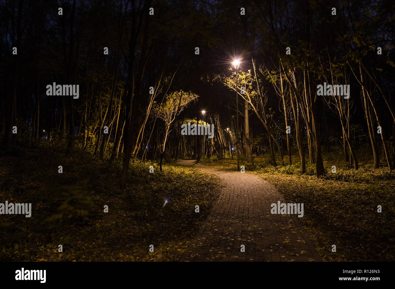 Sentier mystique dans la nuit dans le parc forestier de lanternes. Effrayant les branches d'arbres. Banque D'Images