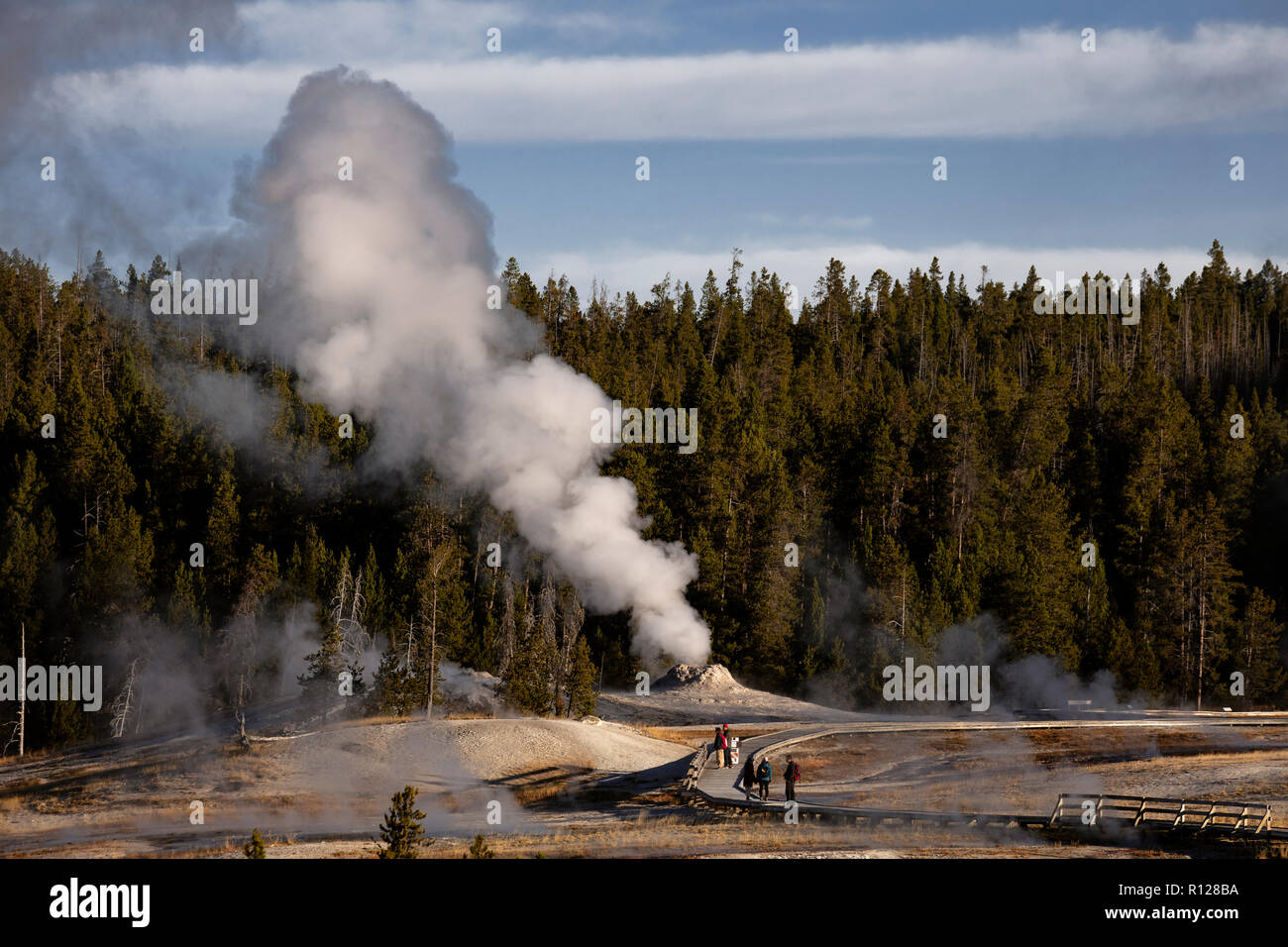 WY03587-00...La région de geyser basin dans le domaine de l'OLF fidèles le Parc National de Yellowstone. Banque D'Images