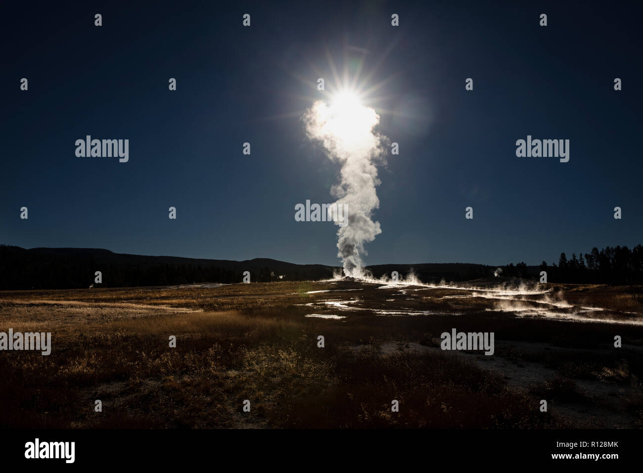 WY03592-00...WYOMING - Old Faithful Geyser dans le Parc National de Yellowstone. Banque D'Images