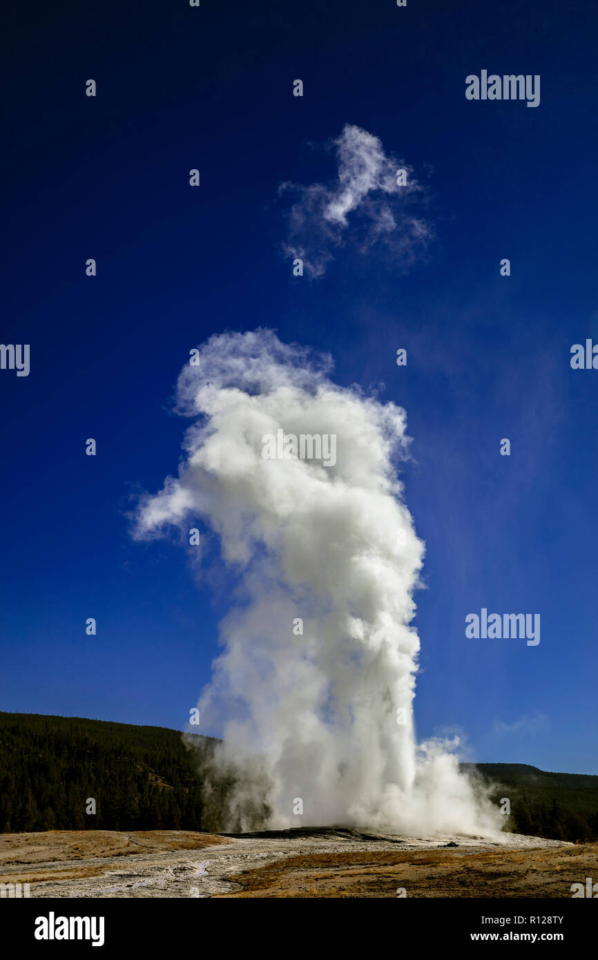 WY03594-00...WYOMING - Old Faithful Geyser dans le Parc National de Yellowstone. Banque D'Images