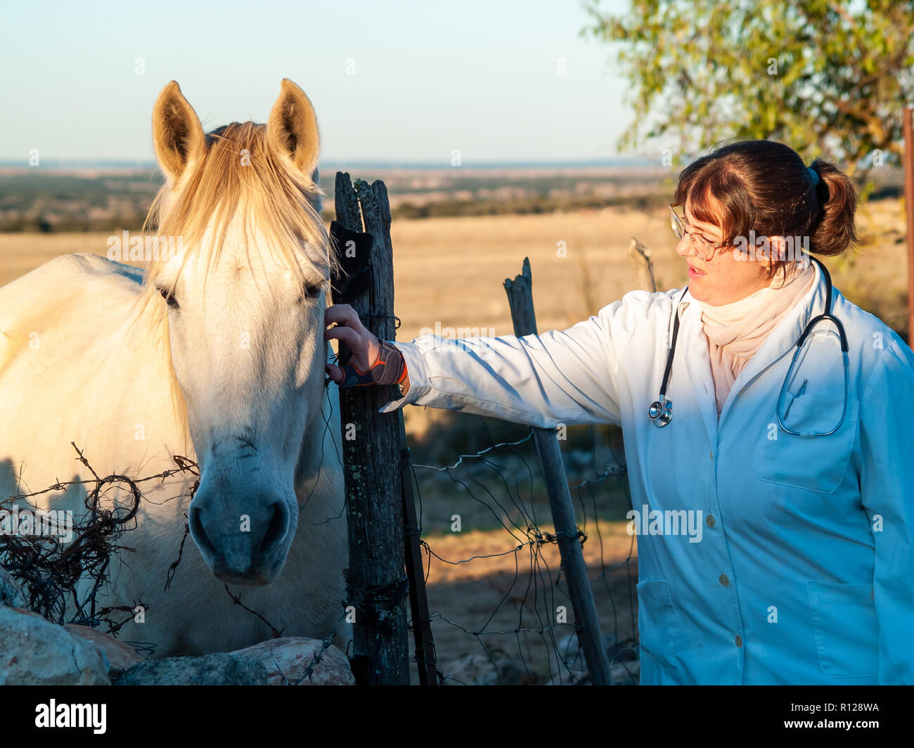 Une Femme Veterinaire Rural Effectuant Un Examen Medical Sur Un Cheval Sur Campagne Environnante Photo Stock Alamy