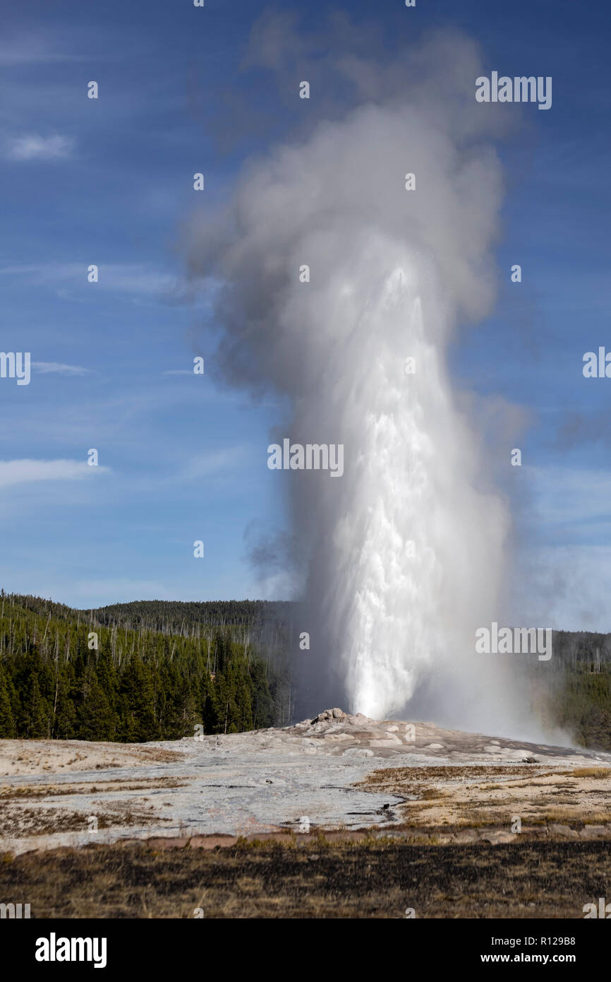 WY03609-00...WYOMING - Old Faithful Geyser dans le Parc National de Yellowstone. Banque D'Images