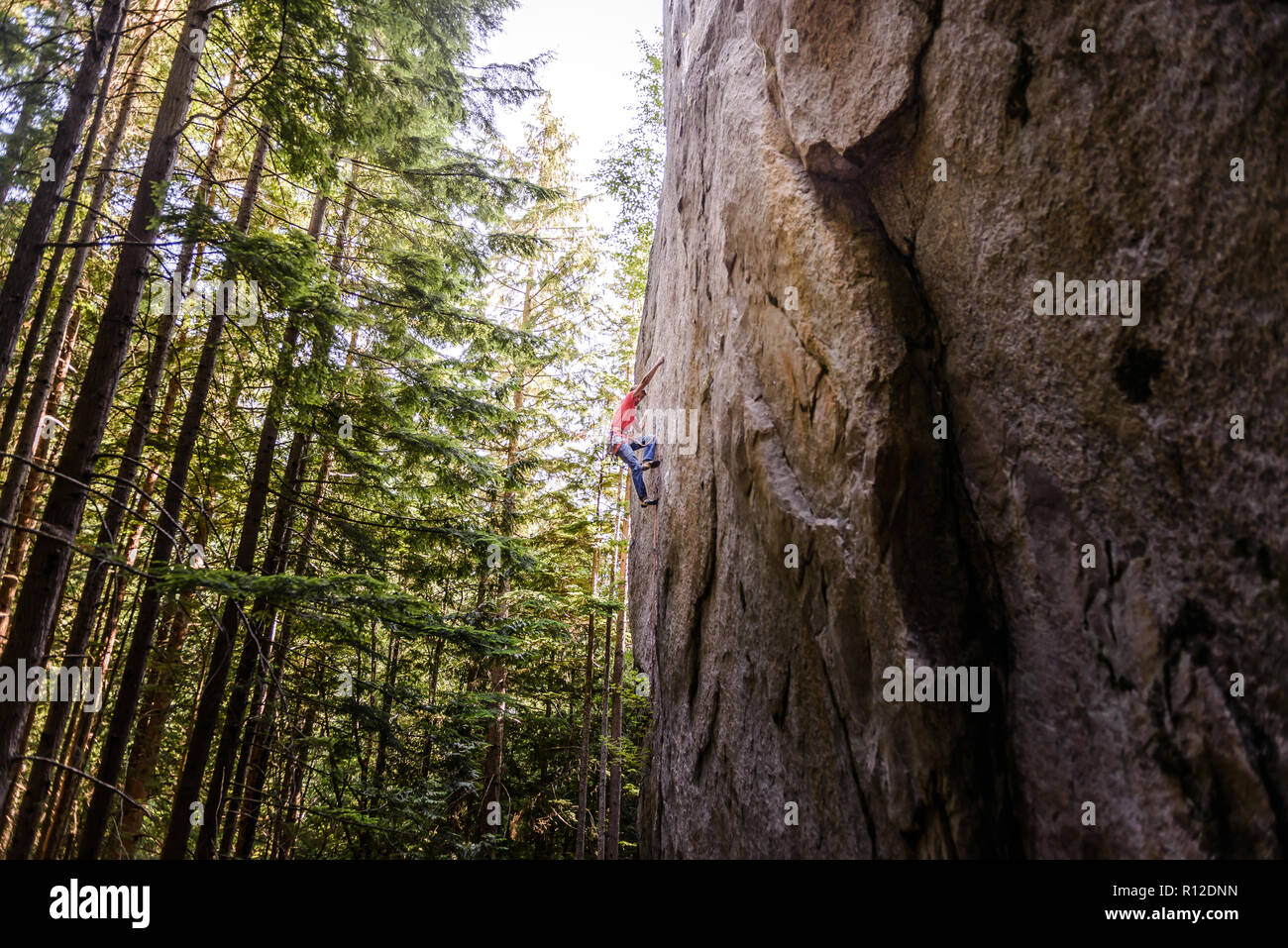 Rock climber scaling rock face à proximité d'arbres, Squamish, Canada Banque D'Images