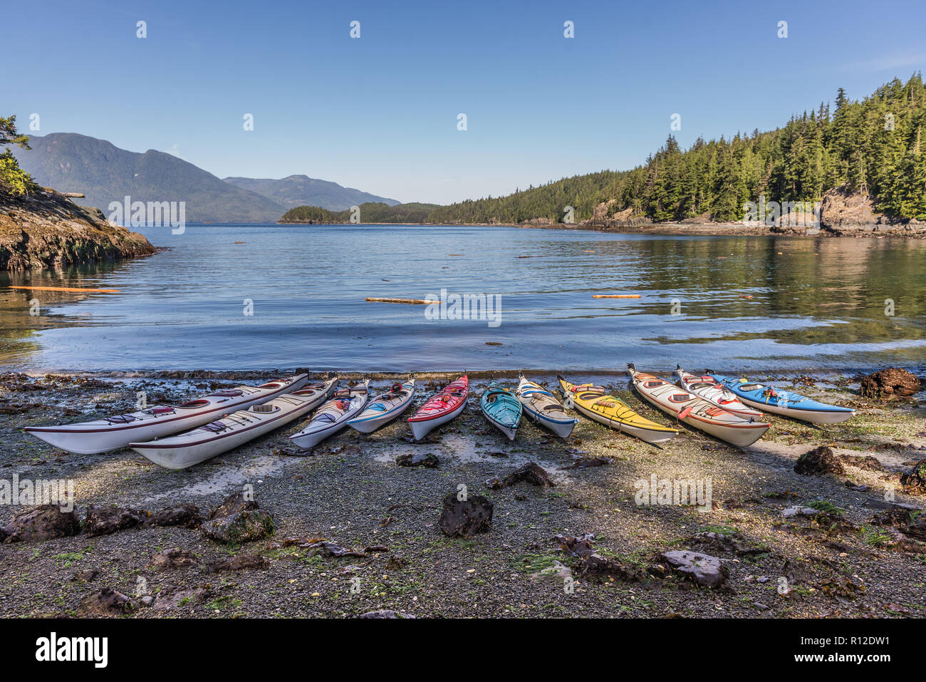Kayaks de mer amarrés sur Lakeside, le détroit de Johnstone, Telegraph Cove, Canada Banque D'Images