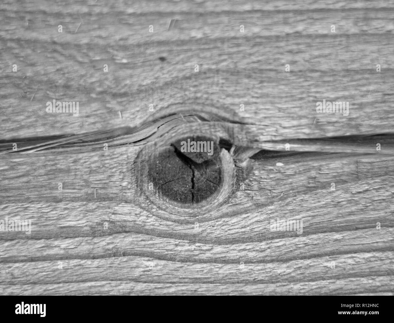 La texture de bois, , macro photographie en noir et blanc Banque D'Images