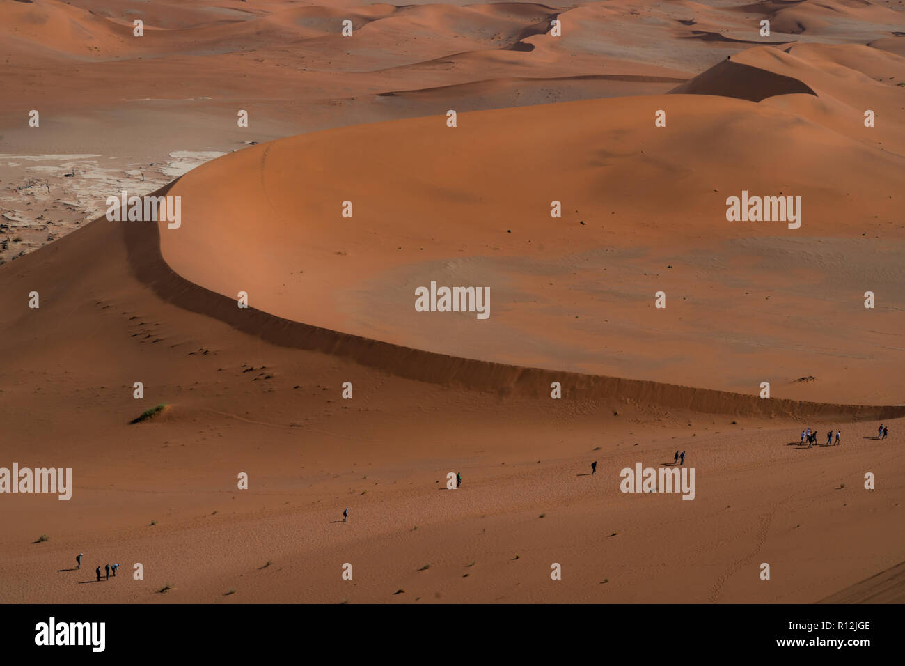 Touristes escaladant les dunes de sable, Sossusvlei, désert du Namib, Parc du Namib-Naukluft, Namibie Banque D'Images