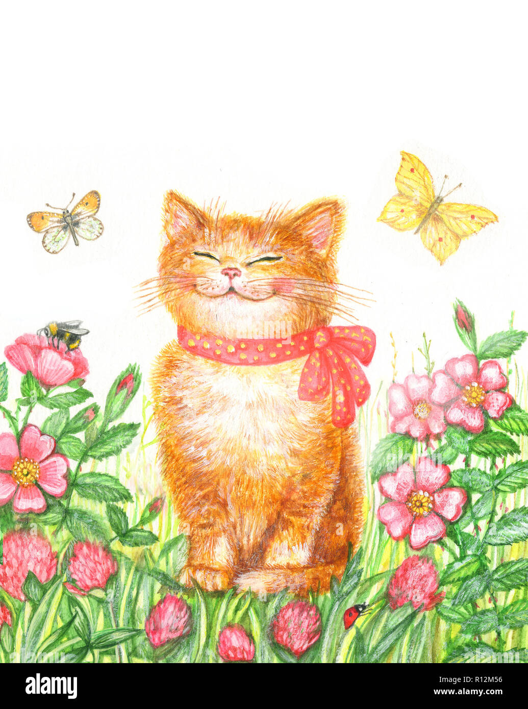 Aquarelle Dessin Drole Chaton Sur Un Fond De Fleurs A Papillons Photo Stock Alamy Aquarelle Dessin Drole Chaton Sur Un Fond De Fleurs A Papillons Photo Stock Alamy