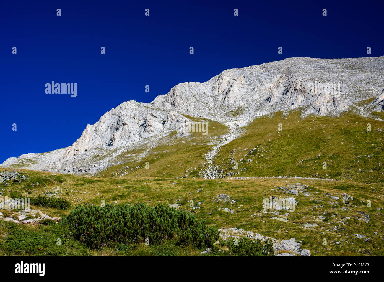 La Beauté De Pirin Sur Le Haut De Lune Des Montagnes Les