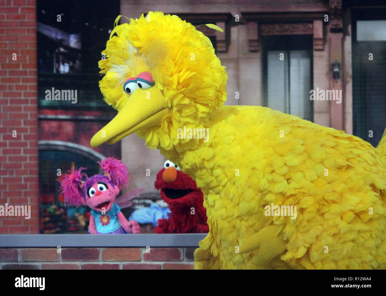 New York, NY, USA. 05Th Nov, 2018. 2018 Abby's Bubble Fun, Elmo, Big Bird au Today Show pour parler de nouvelle saison de Sesame Street à New York le 08 novembre 2018 Crédit : Rw/media/Alamy Punch Live News Banque D'Images