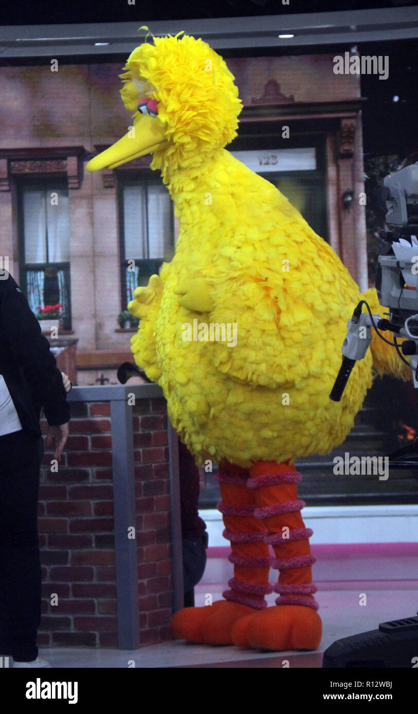 New York, NY, USA. 05Th Nov, 2018. 2018 Big Bird au Today Show pour parler de nouvelle saison de Sesame Street à New York le 08 novembre 2018 Crédit : Rw/media/Alamy Punch Live News Banque D'Images