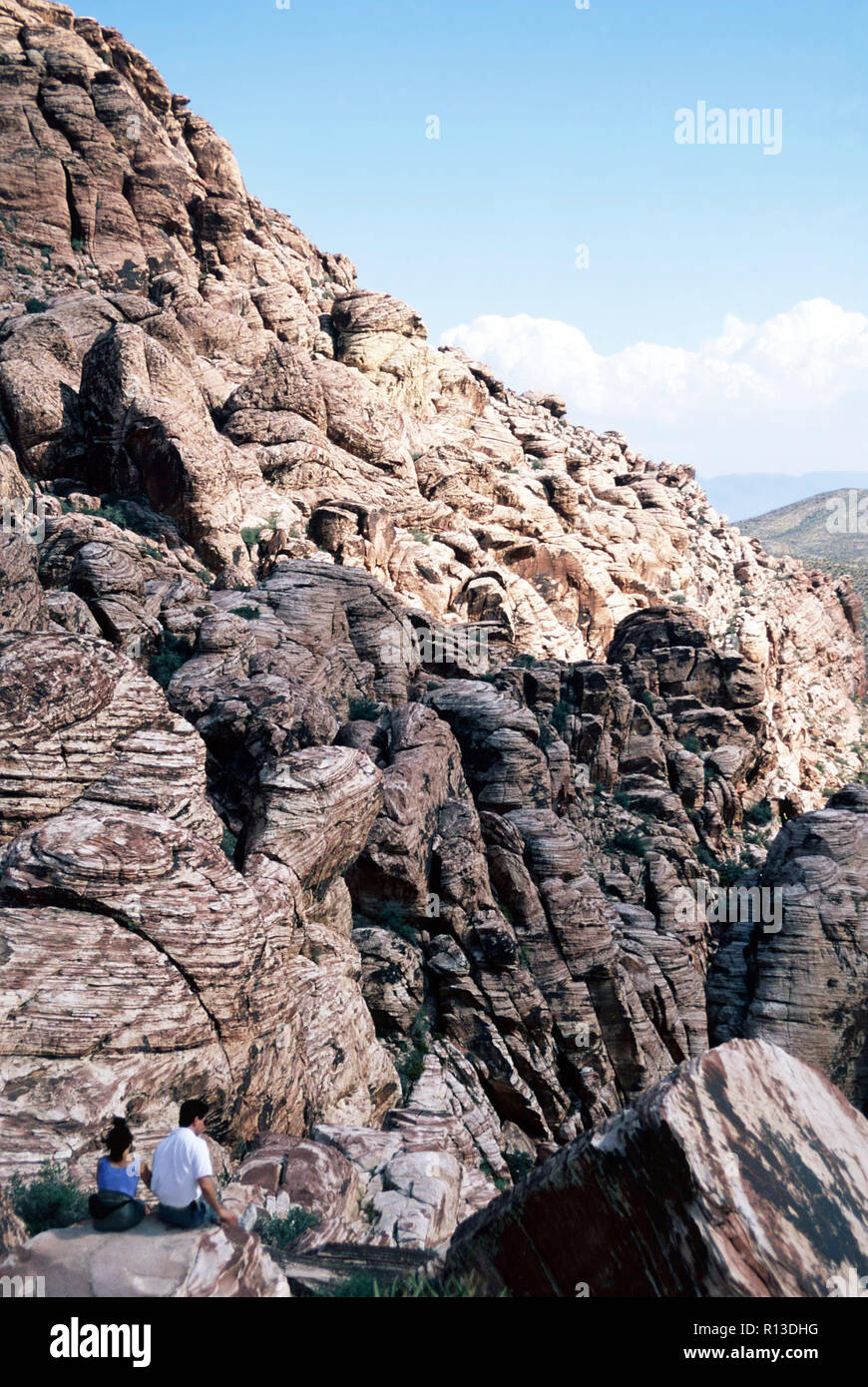 Red Rock Canyon National Conservation Area, Nevada Banque D'Images