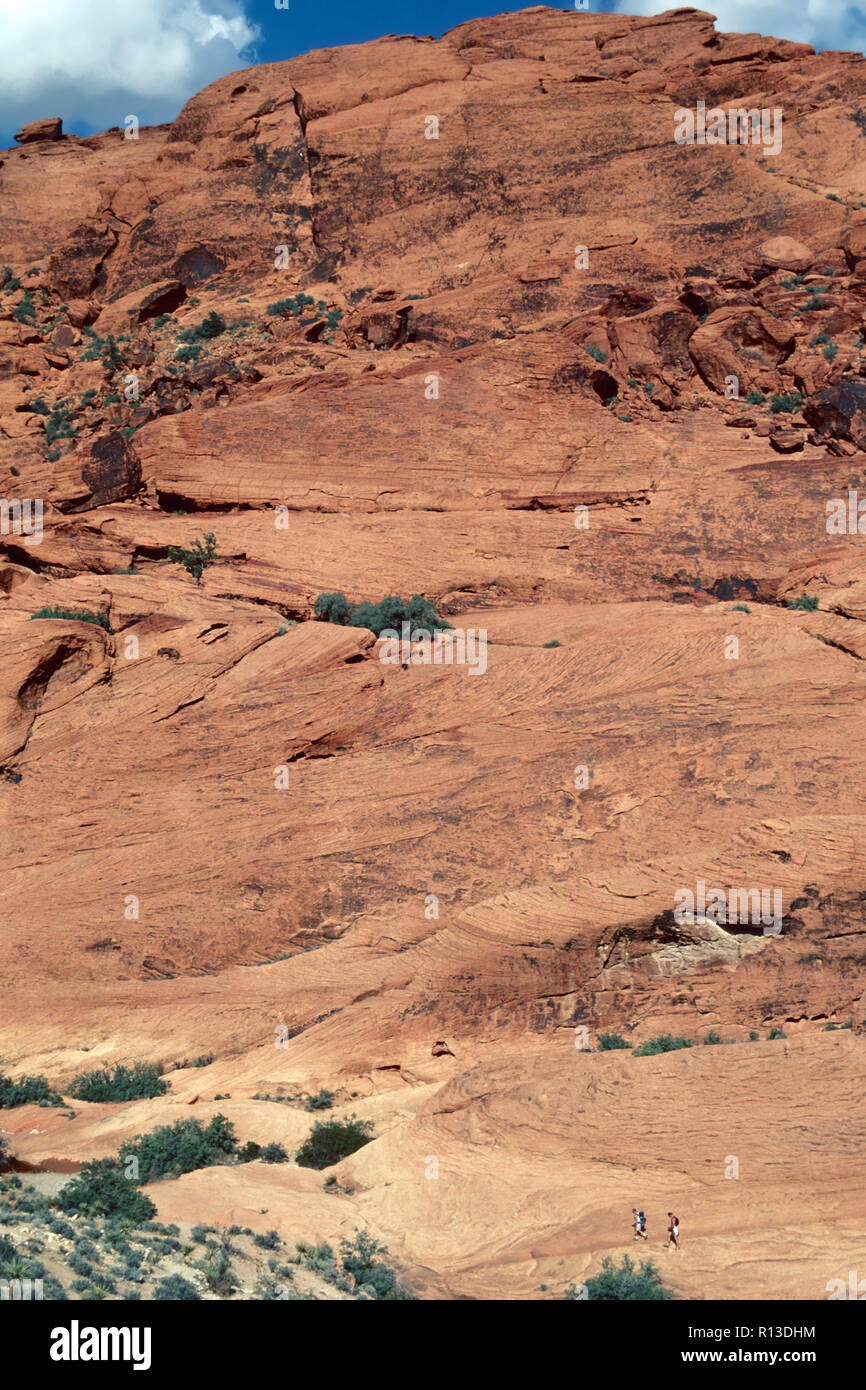 Red Rock Canyon National Conservation Area, Nevada Banque D'Images