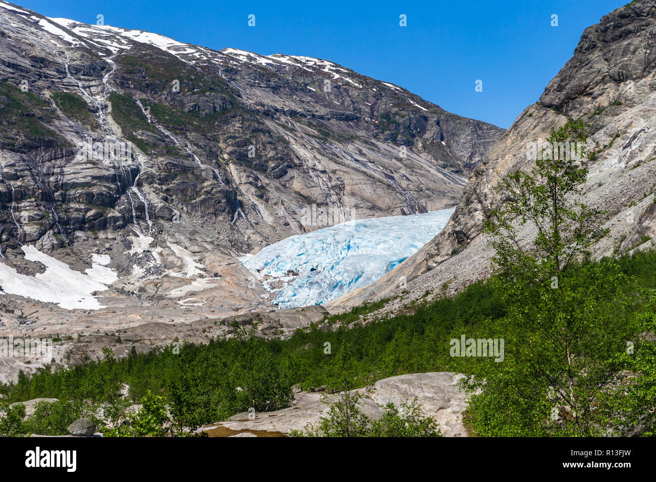 Nigardsbreen. Un bras du glacier du grand glacier Jostedalsbreen. La Norvège, de Jostedal. Banque D'Images