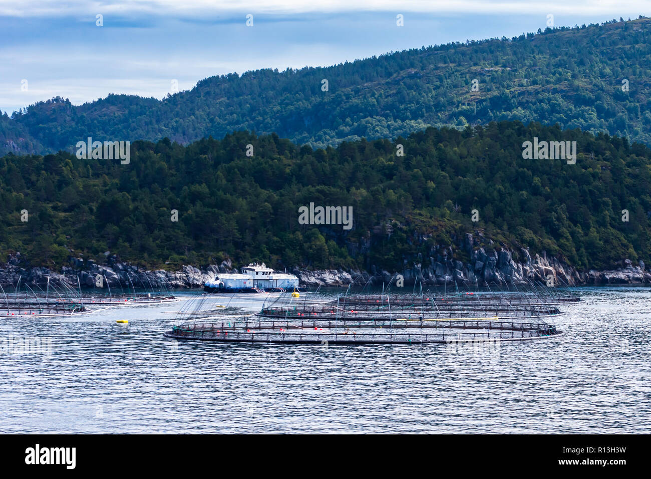 Près de l'élevage du saumon de Bergen, Norvège. Banque D'Images