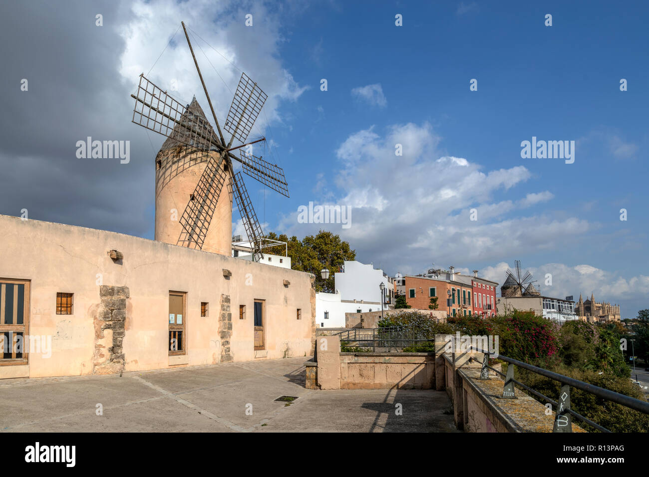 Palma de Mallorca, Majorque, Iles Baléares, Espagne, Europe Banque D'Images